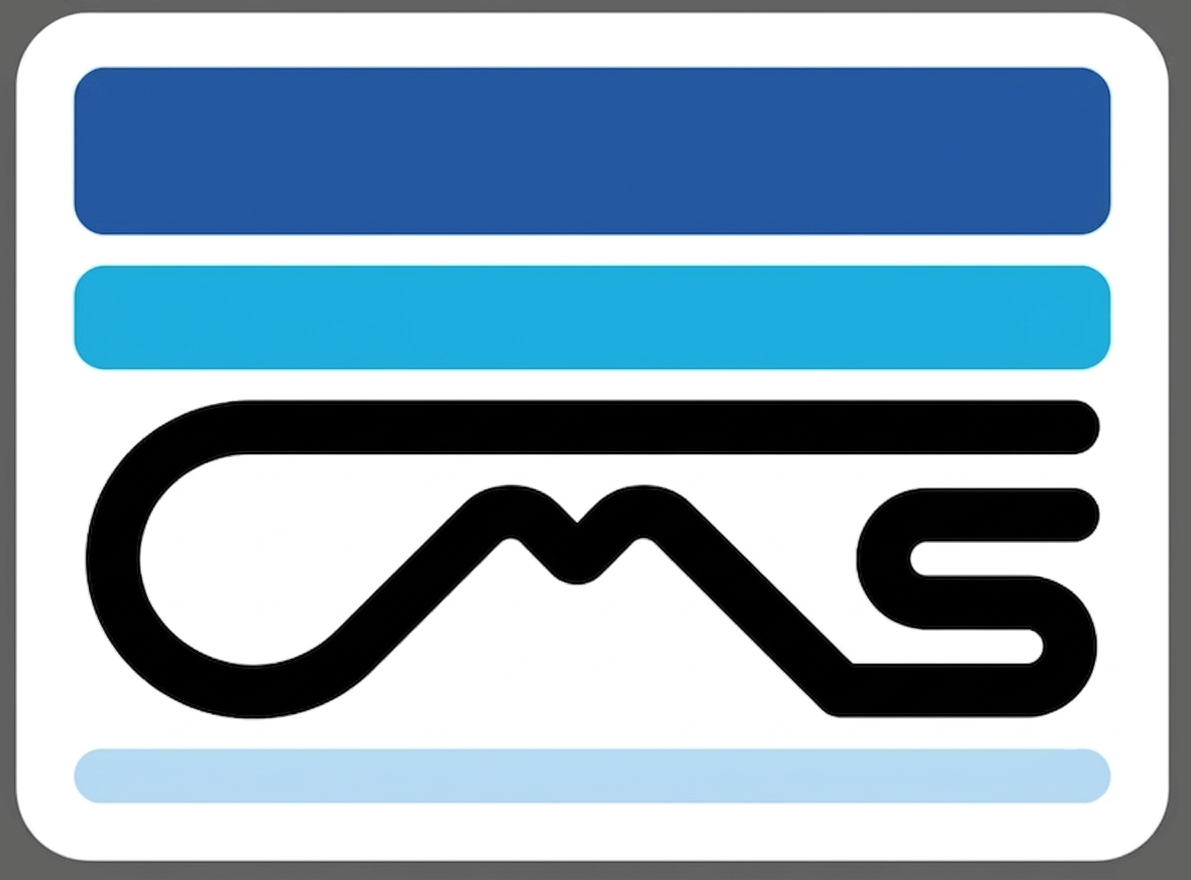 Control Matic System